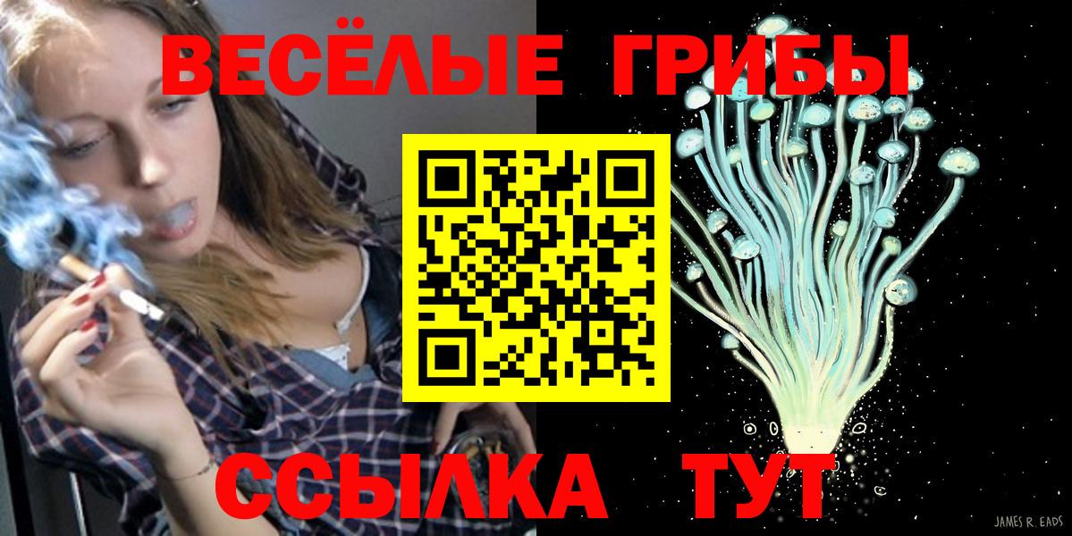 Миллерово  Псилоцибиновые грибы мухоморы  Вход с VPN  Галлюциногенные грибы мухоморы 